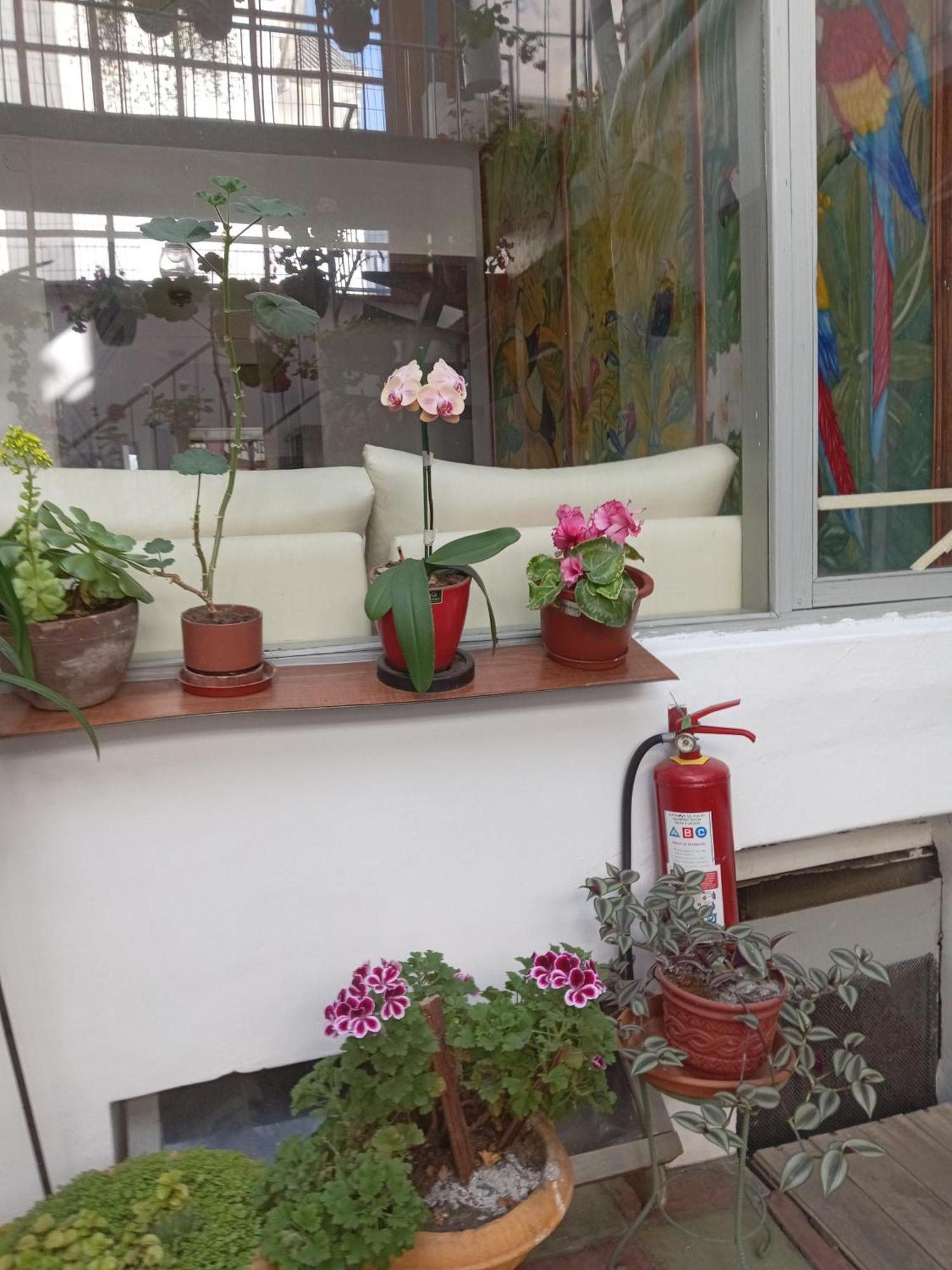 Hostal Posada Del Maple Quito Buitenkant foto