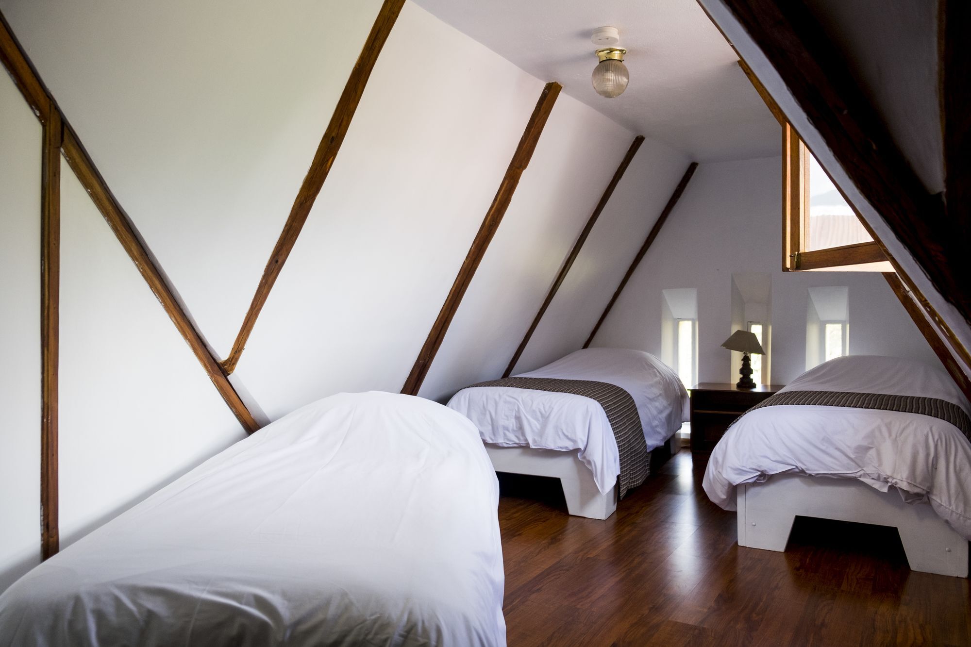Hostal Posada Del Maple Quito Buitenkant foto